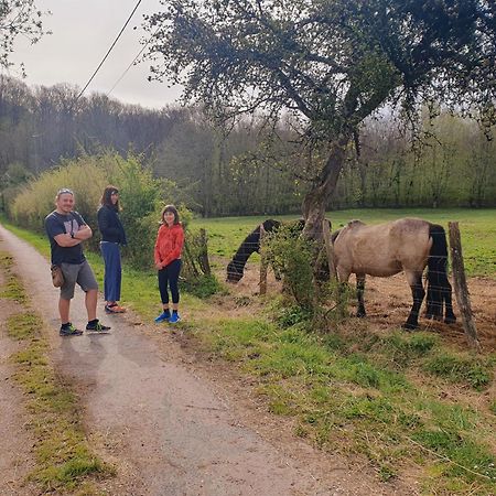 Ferme Equestre & Chambres D'Hotes Gateau Stables Proche Guedelon Saint-Amand-en-Puisaye ภายนอก รูปภาพ