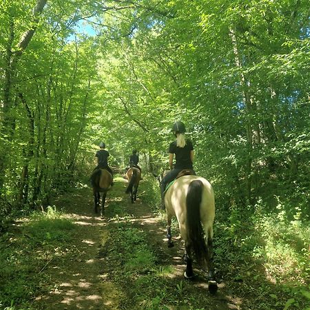 Ferme Equestre & Chambres D'Hotes Gateau Stables Proche Guedelon Saint-Amand-en-Puisaye ภายนอก รูปภาพ