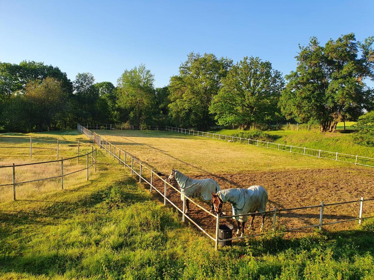 Ferme Equestre & Chambres D'Hotes Gateau Stables Proche Guedelon Saint-Amand-en-Puisaye ภายนอก รูปภาพ