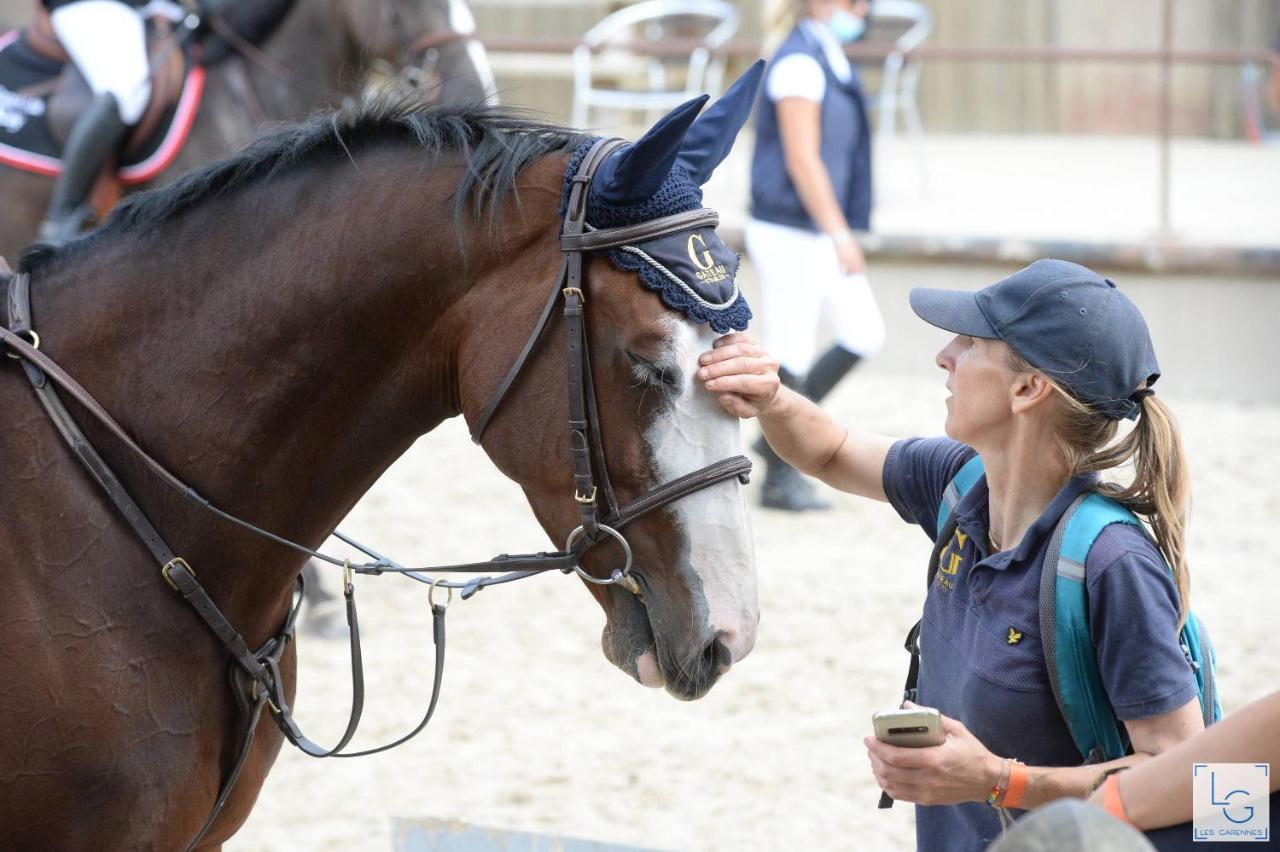 Ferme Equestre & Chambres D'Hotes Gateau Stables Proche Guedelon Saint-Amand-en-Puisaye ภายนอก รูปภาพ