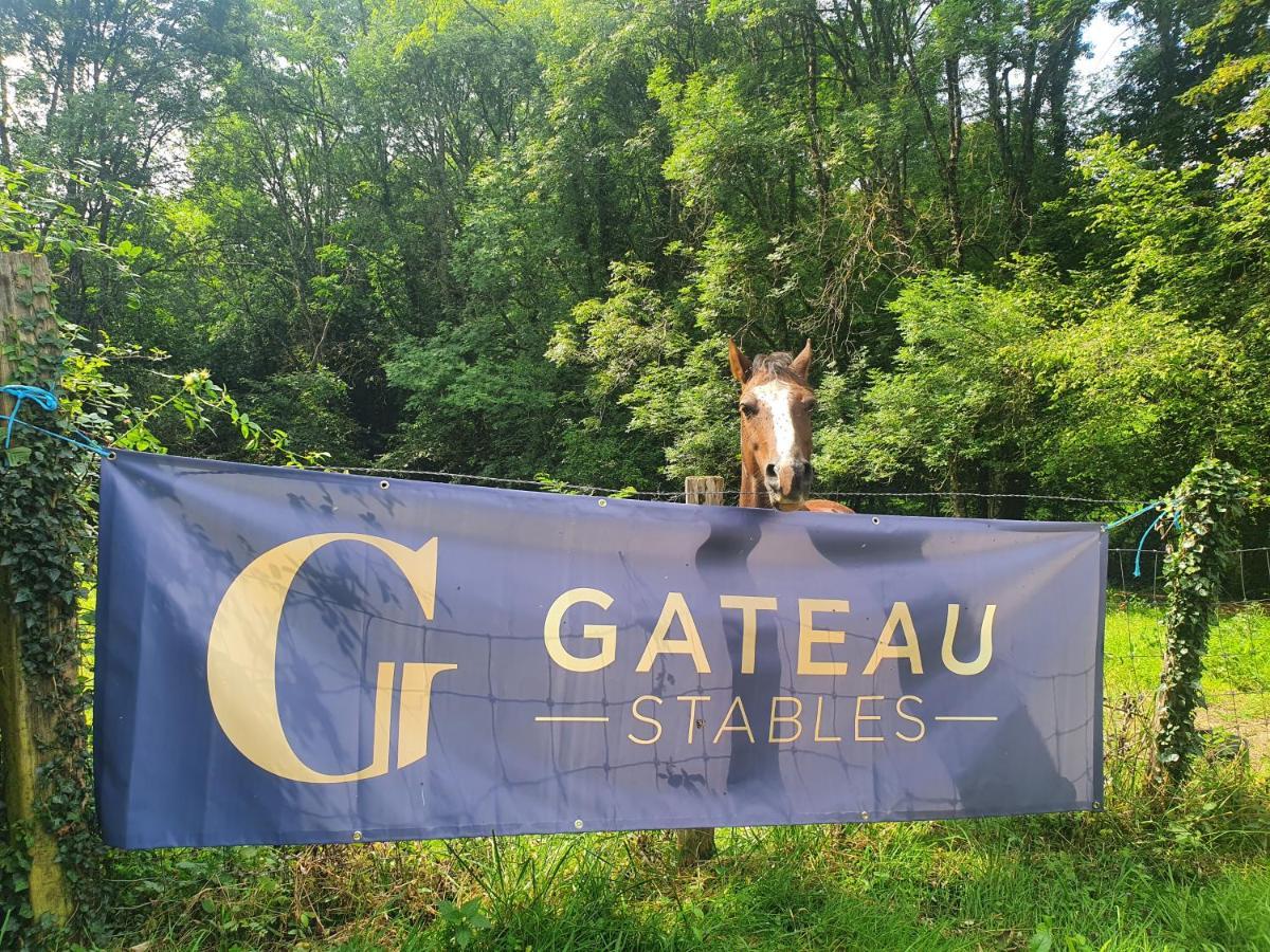 Ferme Equestre & Chambres D'Hotes Gateau Stables Proche Guedelon Saint-Amand-en-Puisaye ภายนอก รูปภาพ