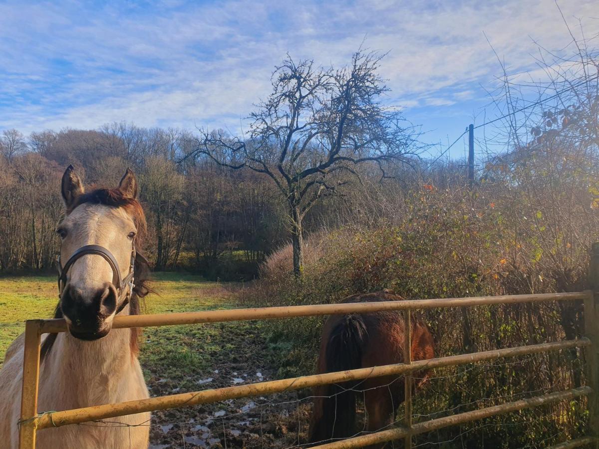 Ferme Equestre & Chambres D'Hotes Gateau Stables Proche Guedelon Saint-Amand-en-Puisaye ภายนอก รูปภาพ