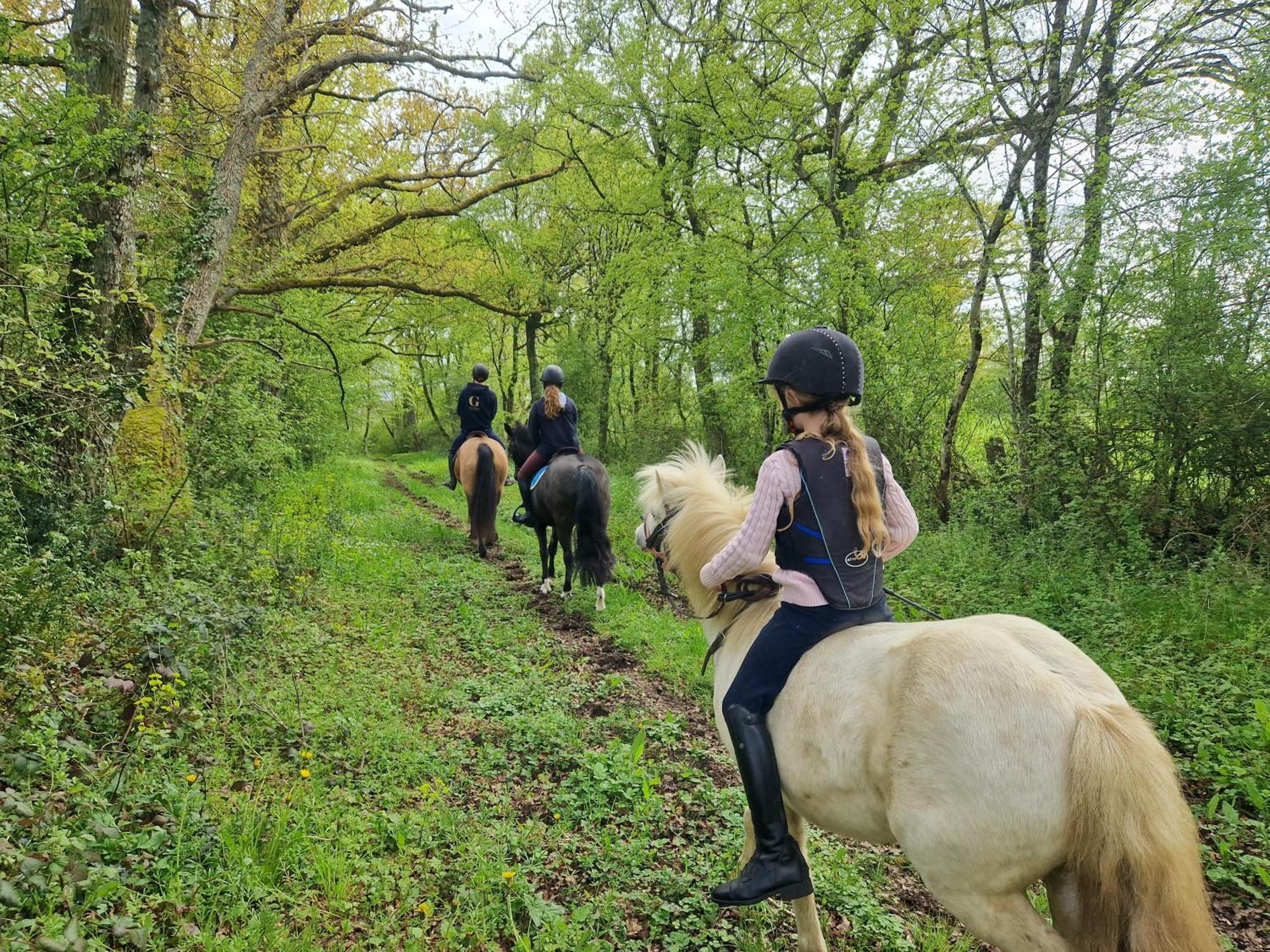 Ferme Equestre & Chambres D'Hotes Gateau Stables Proche Guedelon Saint-Amand-en-Puisaye ภายนอก รูปภาพ