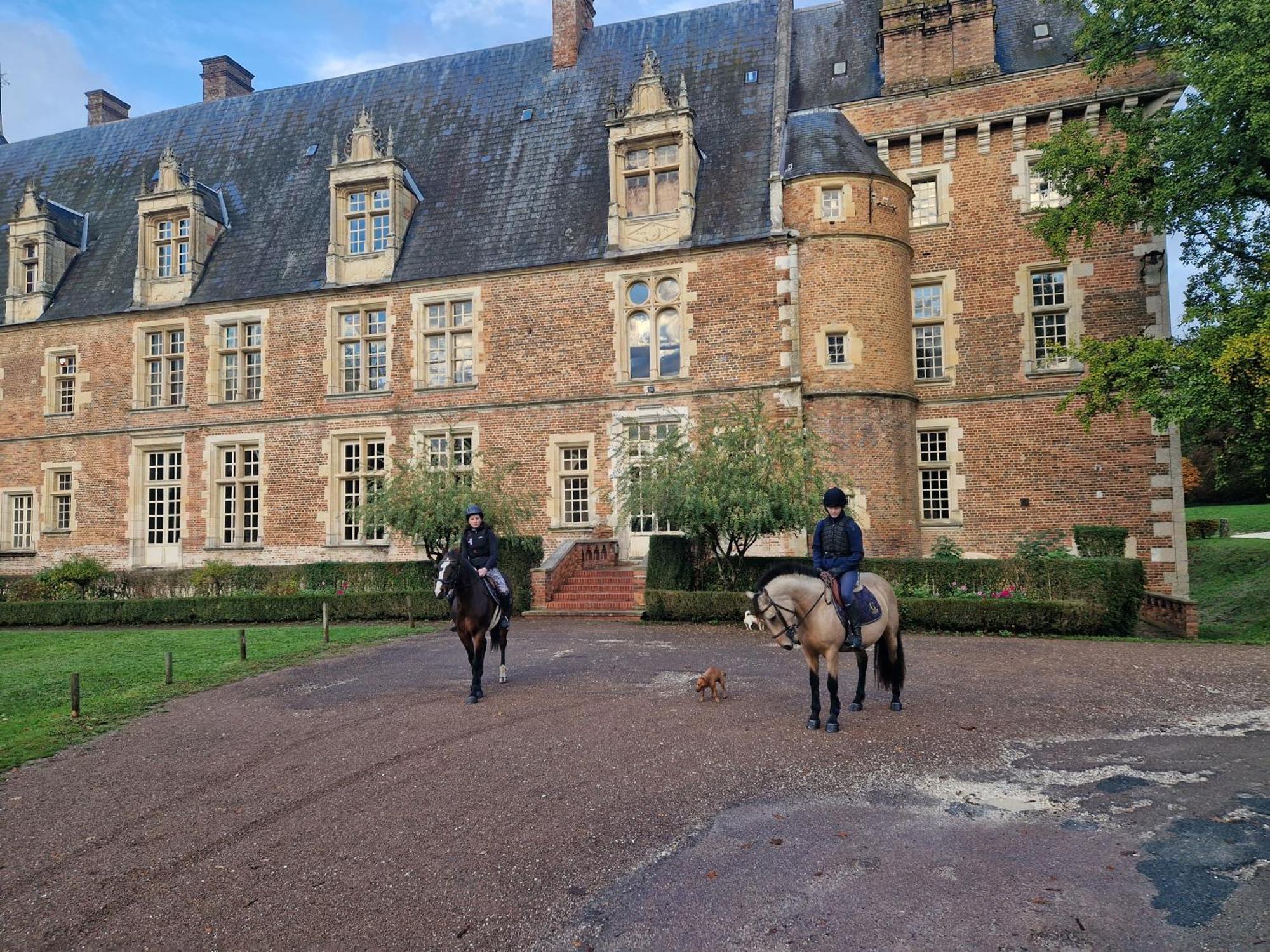 Ferme Equestre & Chambres D'Hotes Gateau Stables Proche Guedelon Saint-Amand-en-Puisaye ภายนอก รูปภาพ