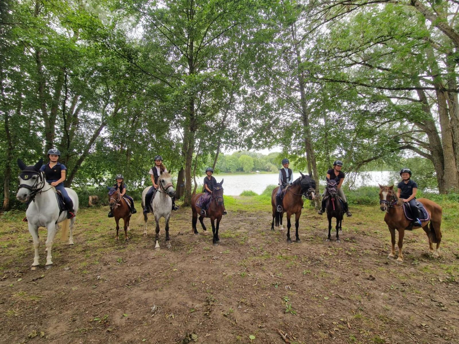 Ferme Equestre & Chambres D'Hotes Gateau Stables Proche Guedelon Saint-Amand-en-Puisaye ภายนอก รูปภาพ