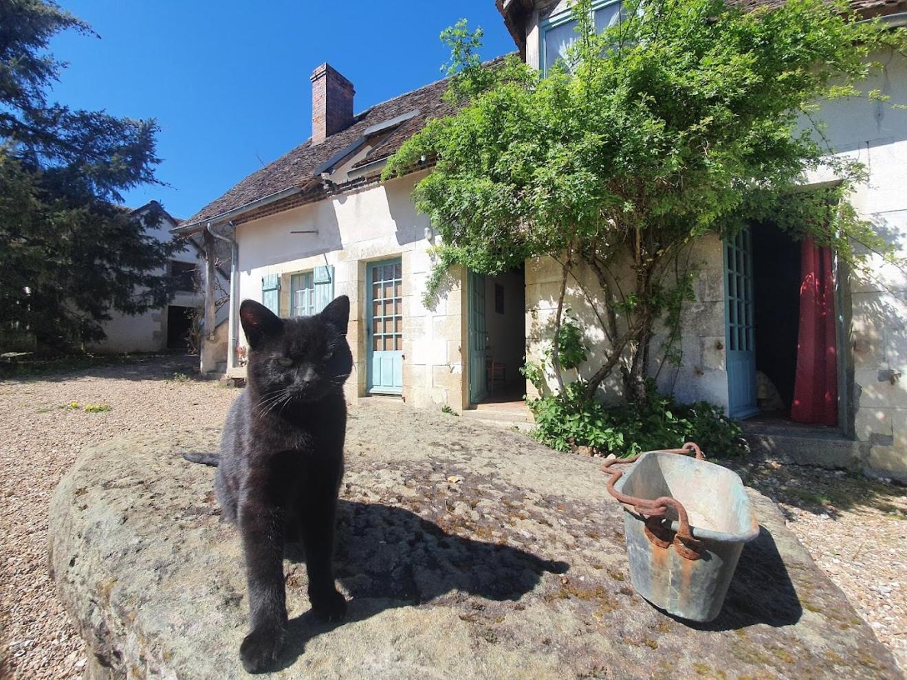 Ferme Equestre & Chambres D'Hotes Gateau Stables Proche Guedelon Saint-Amand-en-Puisaye ภายนอก รูปภาพ