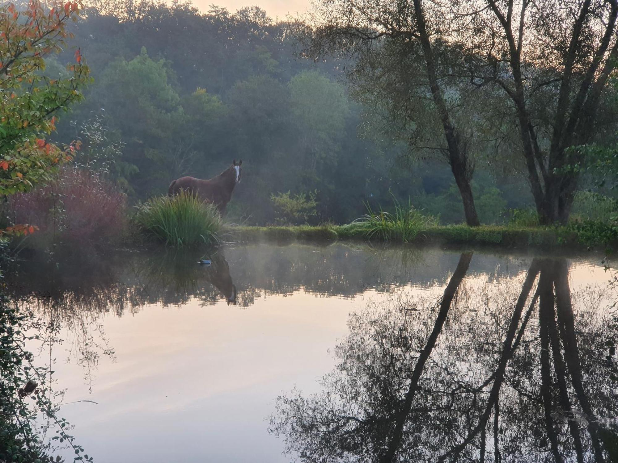 Ferme Equestre & Chambres D'Hotes Gateau Stables Proche Guedelon Saint-Amand-en-Puisaye ภายนอก รูปภาพ