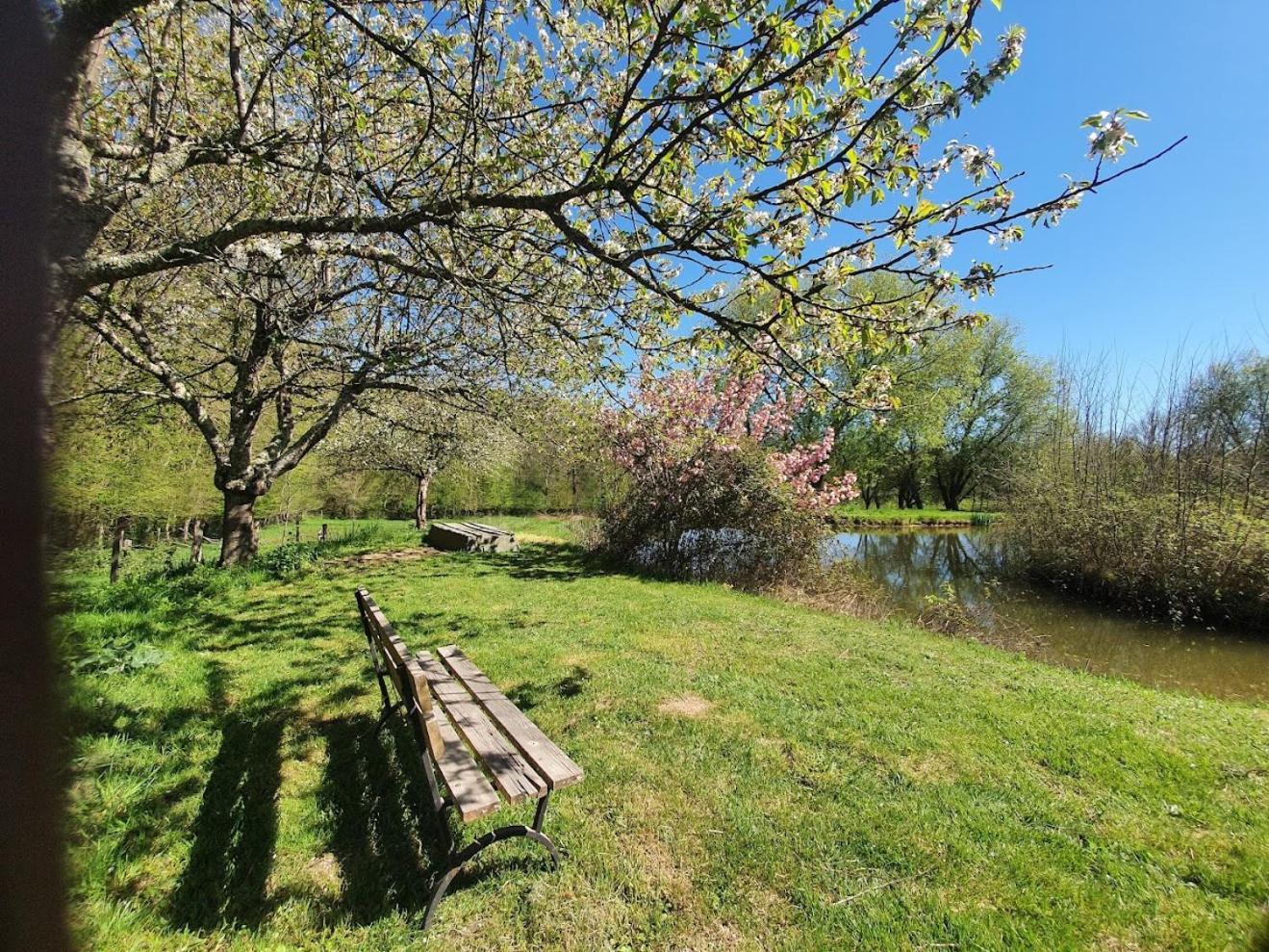 Ferme Equestre & Chambres D'Hotes Gateau Stables Proche Guedelon Saint-Amand-en-Puisaye ภายนอก รูปภาพ