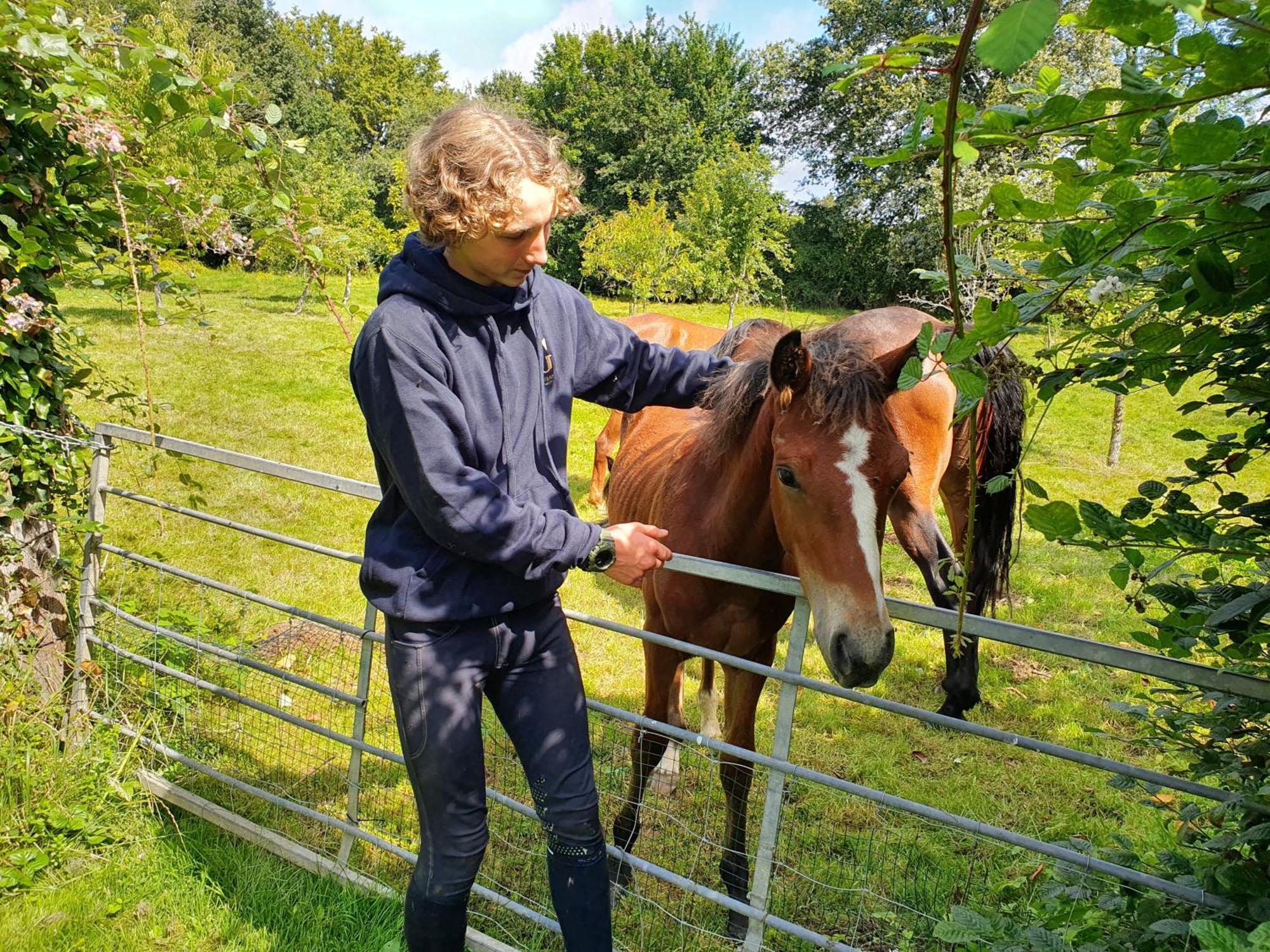 Ferme Equestre & Chambres D'Hotes Gateau Stables Proche Guedelon Saint-Amand-en-Puisaye ภายนอก รูปภาพ