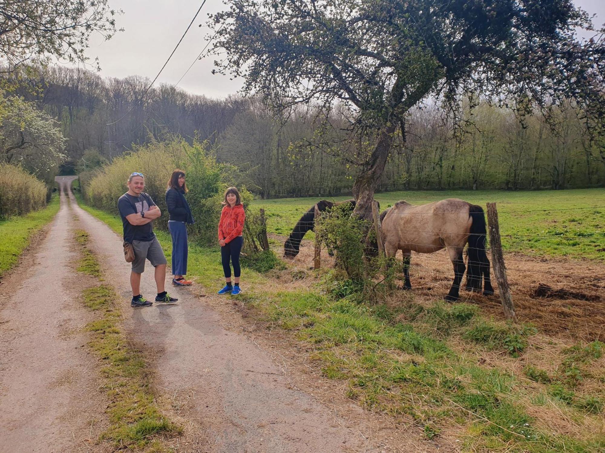 Ferme Equestre & Chambres D'Hotes Gateau Stables Proche Guedelon Saint-Amand-en-Puisaye ภายนอก รูปภาพ