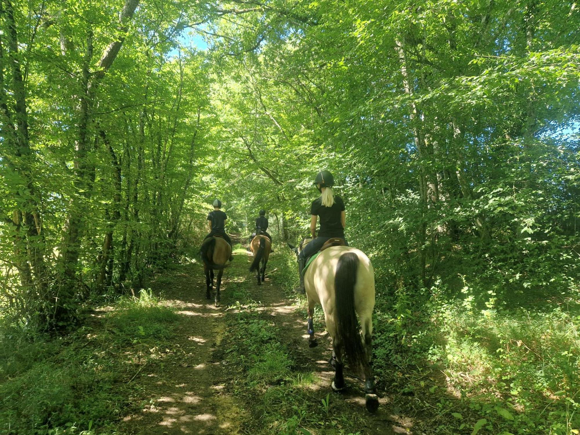 Ferme Equestre & Chambres D'Hotes Gateau Stables Proche Guedelon Saint-Amand-en-Puisaye ภายนอก รูปภาพ