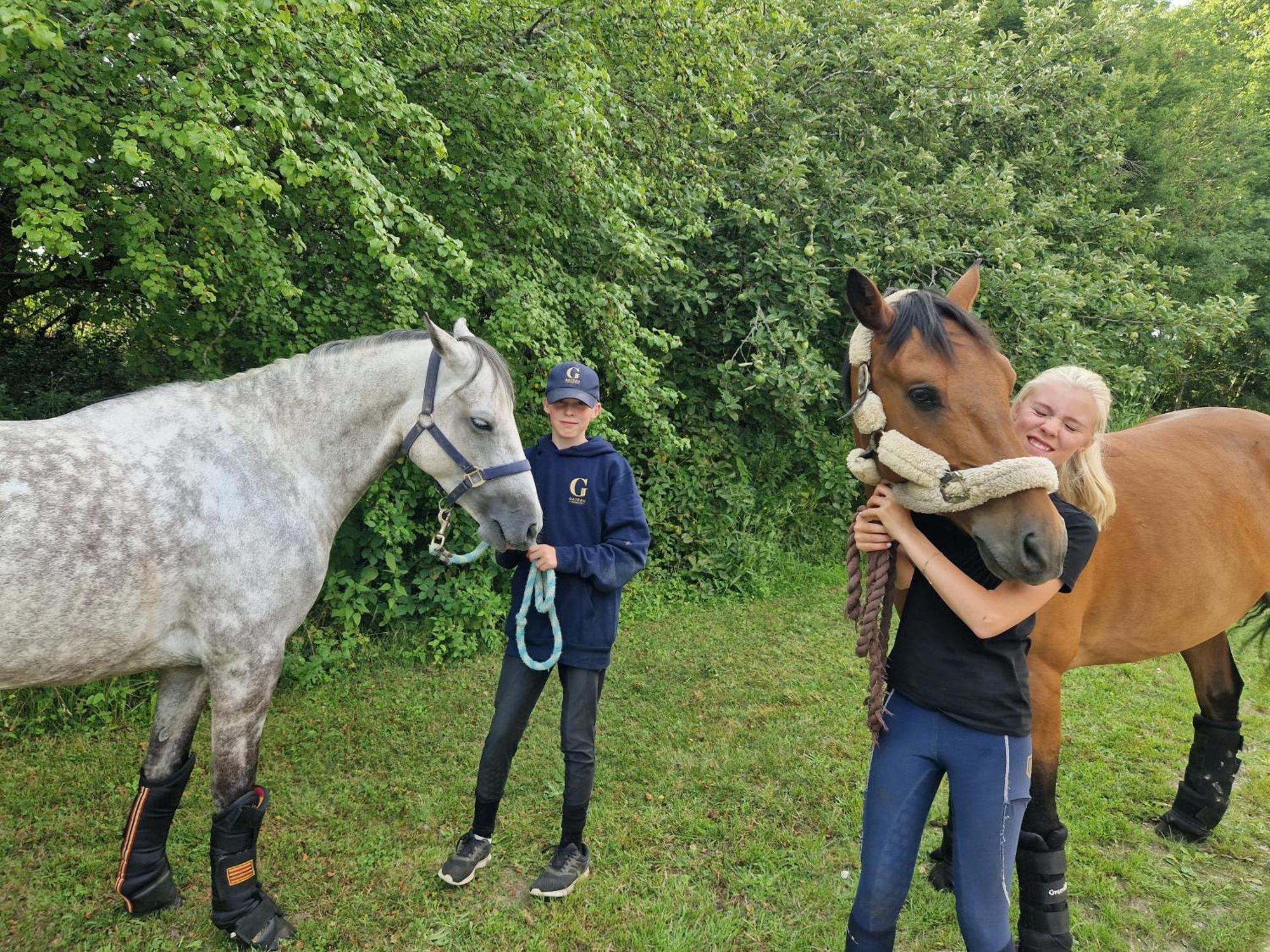 Ferme Equestre & Chambres D'Hotes Gateau Stables Proche Guedelon Saint-Amand-en-Puisaye ภายนอก รูปภาพ