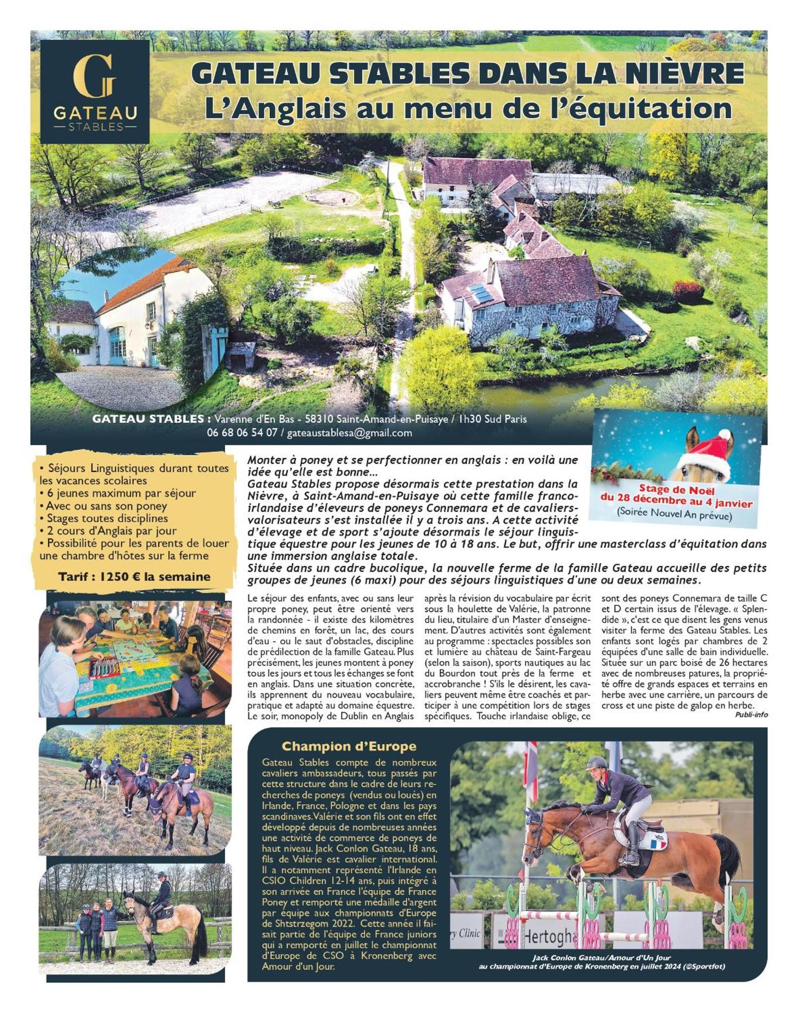 Ferme Equestre & Chambres D'Hotes Gateau Stables Proche Guedelon Saint-Amand-en-Puisaye ภายนอก รูปภาพ